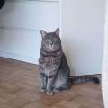 Douceur-pour-vos-petits-amours--1155738-3