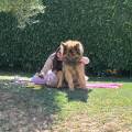 https://fr.holidog.com/ImagesPetSitters/405C37A0-29F9-458F-A661-C3B91CDF34DC_square_120.jpg --1115494-1