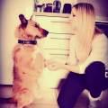 Dog-Walking-Belin-Béliet-1082704-0