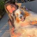Mes-amis,-les-animaux-1177010-2