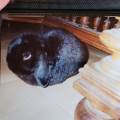 Garde-d’animaux-de-confiance-1087963-3