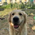 Garde-familiale-et-bienveillante-1185249-1