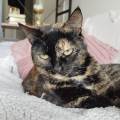 Petsitter-disponible-à-Orléans-1081054-2