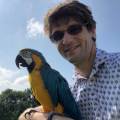 petsitter stranger