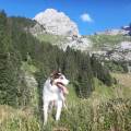 https://fr.holidog.com/ImagesPetSitters/4839E2BC-3D73-4876-9DB7-C87FFFE1BD3F_square_120.jpg 101313-0