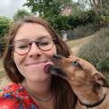 petsitter stranger