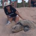 Biologiste-–-Soins-pour-Animaux-1070578-3