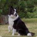 https://fr.holidog.com/ImagesPetSitters/4E41646F-9852-4AF4-AB69-3DDD69144651_square_120.jpg Beinvenue-aux-chiens-et-chats-!-1068268-1