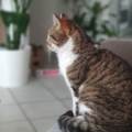 https://fr.holidog.com/ImagesPetSitters/4F8D647B-0838-4220-B968-77F30E533DD3_square_120.jpg Je-suis-dispo-pour-vos-animaux-!-397554-0