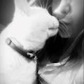 petsitter stranger