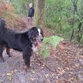 Petsitter-à-l'écoute-1153268-3
