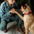 https://fr.holidog.com/ImagesPetSitters/52135F47-D108-44C8-A97A-FE7026492CB7_square_120.jpg 1043577-3