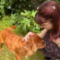 Petsitter-de-confiance-1080632-1