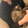 https://fr.holidog.com/ImagesPetSitters/548C7FDC-EDE9-42B0-9FD2-6175A45E4F4A_square_120.jpg La-meilleure-amie-de-vos-animaux--1064517-2