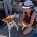 https://fr.holidog.com/ImagesPetSitters/54D34595-1C15-493E-8ED3-3E83E2F0CA21_square_120.jpg L'amie-des-animaux-22975-3