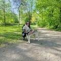 Je-suis-une-grande-amie-des-animaux-656671-0