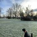 https://fr.holidog.com/ImagesPetSitters/57EA90FF-C6DB-4412-8CF7-A5A90673DA4F_square_120.jpg Pet-sitter-(tout-type-d'animaux)-722357-0