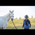 Le-repaire-des-animaux-heureux-✨-1150630-3