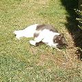 https://fr.holidog.com/ImagesPetSitters/5C7D51BB-4BA9-4A24-AFAD-A67C8C15A89E_square_120.jpg Morgane---Comportementaliste-12159-1