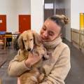 https://fr.holidog.com/ImagesPetSitters/5D355948-7500-4C91-A279-D588777AFD5E_square_120.jpg Passionnée-des-toutous-à-Lille-!-1162329-3