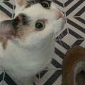 https://fr.holidog.com/ImagesPetSitters/5E43556D-7C32-45E3-87F8-74A9482218F5_square_120.jpg Amoureuse-d'animaux-depuis-toujours-1162349-2