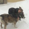 https://fr.holidog.com/ImagesPetSitters/60903A65-C858-4A1D-A53A-5DAF8B184B8F_square_120.jpg Little-Pet-Lover-204613-1