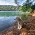 https://fr.holidog.com/ImagesPetSitters/60F054E4-08D3-4443-B133-EDE34C2AC4FF_square_120.jpg dog-sitting-4-étoiles-!-1080271-0