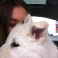 https://fr.holidog.com/ImagesPetSitters/61B64B5E-411A-4D29-BF65-A2141FCAFBD3_square_120.jpg Dispo-pet-sitting-toute-l'année-187729-0