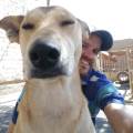 https://fr.holidog.com/ImagesPetSitters/639A7E7A-47B6-427E-9965-2152C7D9EA12_square_120.jpg Gentil-petsitter-:)-571674-1