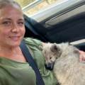 Petsitter-au-grand-air-581886-0