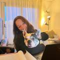 Garde-de-chiens-et-chats-1048708-1