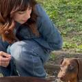petsitter stranger