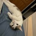 Balade-tranquille--643255-1
