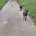 https://fr.holidog.com/ImagesPetSitters/69A06752-1244-4089-85D5-235C716E485E_square_120.jpg 1101284-1