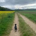 https://fr.holidog.com/ImagesPetSitters/6AFF5CE0-3A58-4C95-8495-50DB5542474F_square_120.jpg Garde-d'animaux-à-la-campagne-804928-2