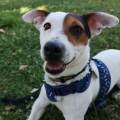 https://fr.holidog.com/ImagesPetSitters/6B34C4B2-0699-497C-9EB6-C7B7B39EE203_square_120.jpg Adorable-Pet-Sitter-/-Saint-Étienne-489911-0