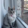 ----Le-paradis-des-animaux-1162190-0