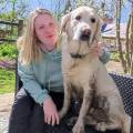 https://fr.holidog.com/ImagesPetSitters/6F01BF72-F564-4A4D-9445-4FAEBBC23872_square_120.jpg Un-havre-de-paix-pour-votre-animal-1096643-0