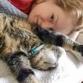 Petsitter-disponible-à-Orléans-1081054-3