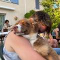 https://fr.holidog.com/ImagesPetSitters/6F9595B6-CDE2-4A31-987A-C1E70ED004F8_square_120.jpg Passionnée-des-animaux--1093725-0