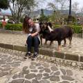 https://fr.holidog.com/ImagesPetSitters/6FF57B98-F490-4D7F-8F4F-8F2799B18EA9_square_120.jpg Petsitter-en-Télétravail--836425-1