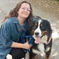 petsitter stranger