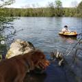 The-walking-dog-1092960-2