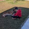 Amoureuse-des-animaux--1152137-2