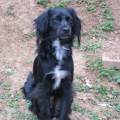 https://fr.holidog.com/ImagesPetSitters/73E5E118-9CD8-415D-8A33-D461B3E296E1_square_120.jpg Ton-animal-est-comme-le-mien-1157493-2