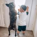 https://fr.holidog.com/ImagesPetSitters/74E84E92-6969-4AA9-8E7D-2CFF2C17954F_square_120.jpg Dog-sitter-attentionné-en-pavillon-1110902-0