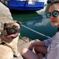 Pour-tous-les-animaux-1175121-0