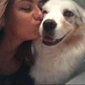 https://fr.holidog.com/ImagesPetSitters/768771D6-788D-44BC-917A-D924A21FAF7D_square_120.jpg The-Petsitter-167526-0