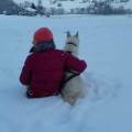 Pet-sitter-expérimentée-1158427-2