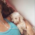 https://fr.holidog.com/ImagesPetSitters/79B34797-2B9B-4E80-9895-A5DD341DC460_square_120.jpg Pet-sitter-1108144-3